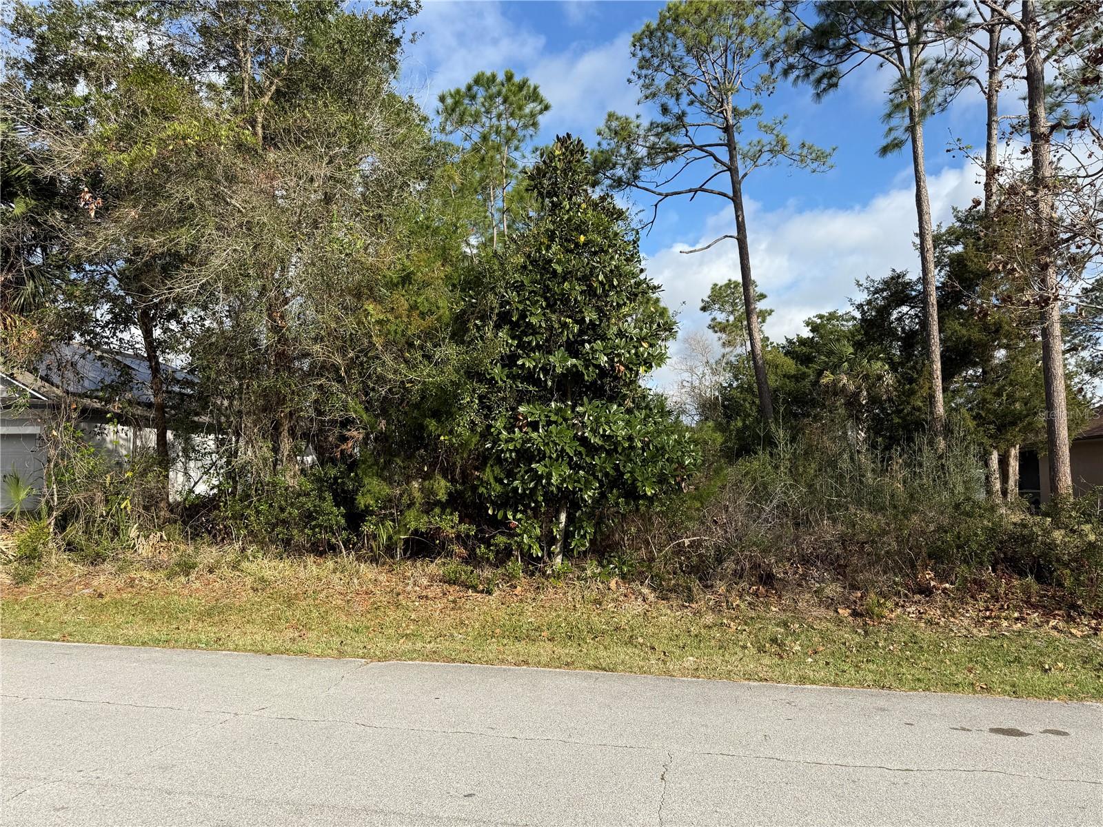 PALM COAST SECTION 10 - Land