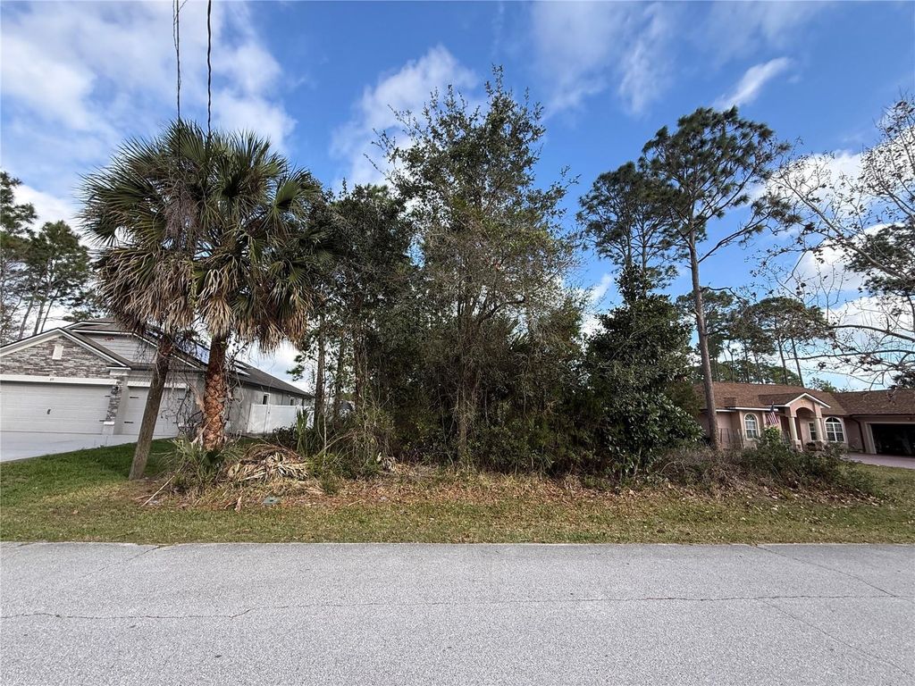 Photo of 91 Ferndale Ln, Palm Coast, FL 32137 (MLS # FC316836)