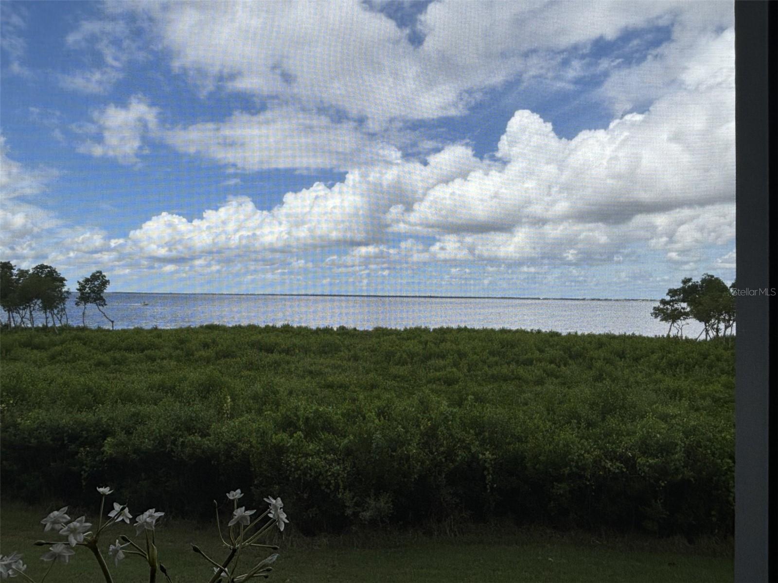 BELLA LAGO/VIVANTE XXI - Residential Lease