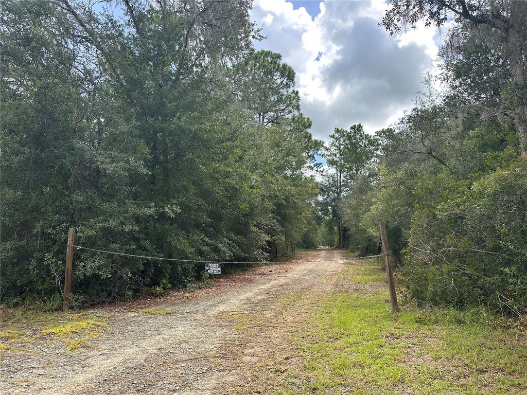 Photo of 0 NE 127th Court, Williston, FL 32696 (MLS # OM731101)