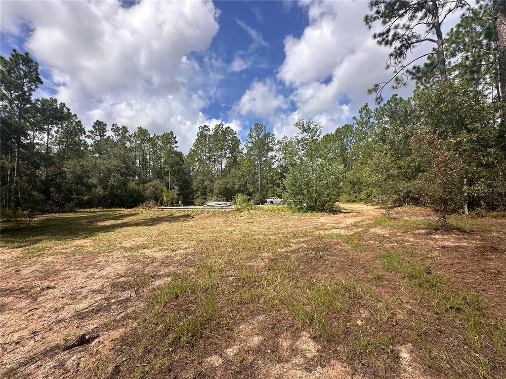 Photo of 0 NE 127th Court, Williston, FL 32696 (MLS # OM731101)