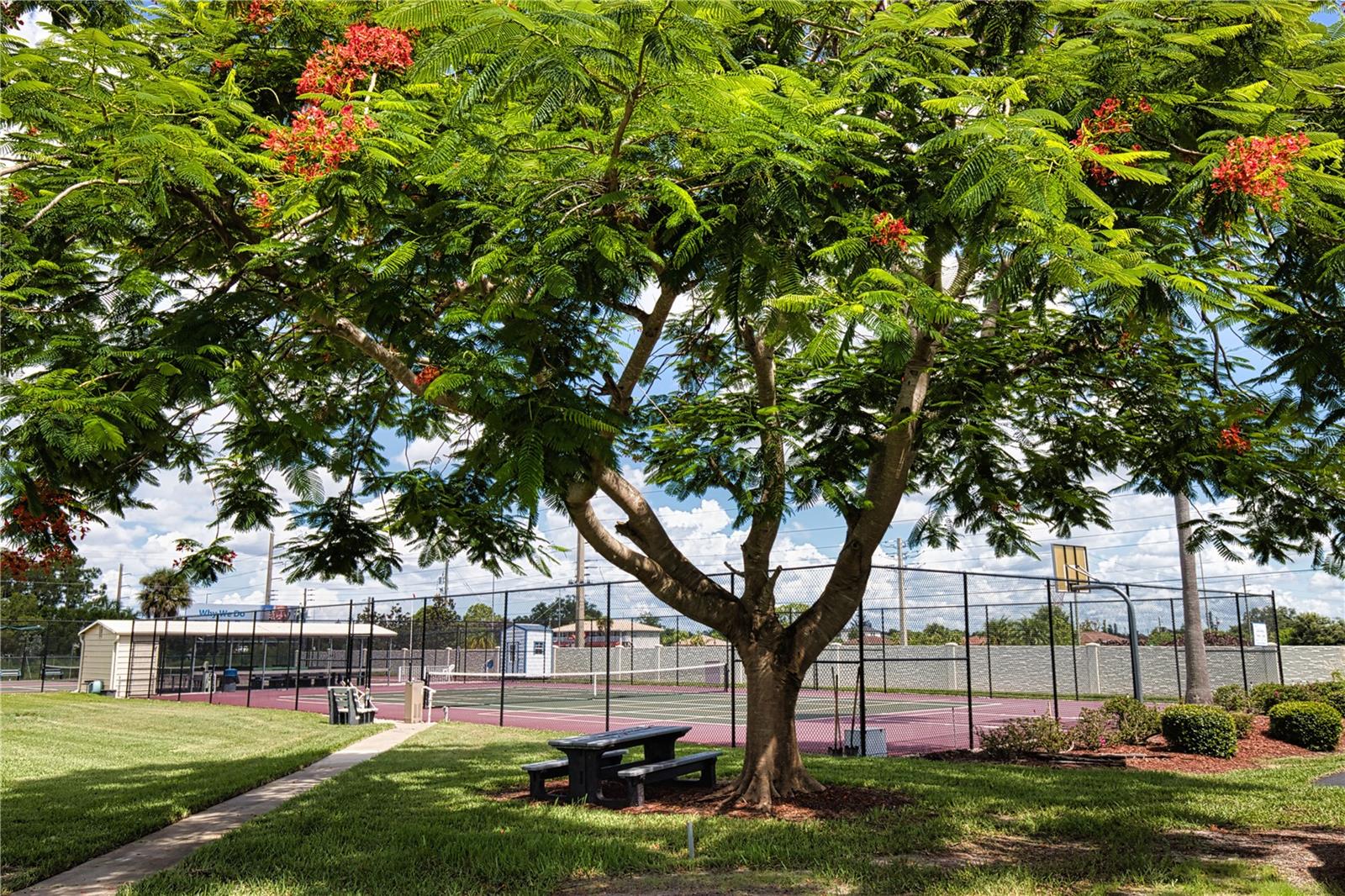 LA CASA MHP CO-OP - Residential