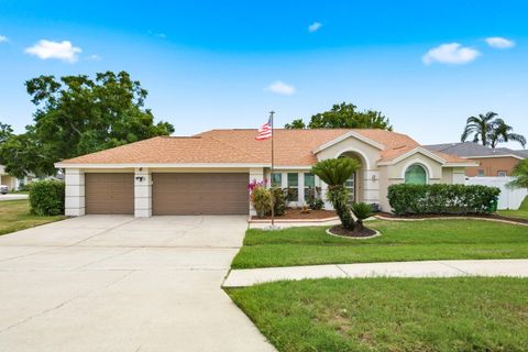 1748 HERMIT THRUSH CIRCLE PALM HARBOR FL 34683