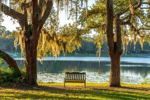 Tiny photo for 22649 NE 105th Avenue Road, Fort Mccoy, FL 32134 (MLS # O6451635)