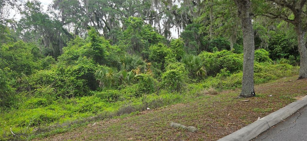 Photo of 2392 N Heritage Oaks Path, Hernando, FL 34442 (MLS # OM722452)