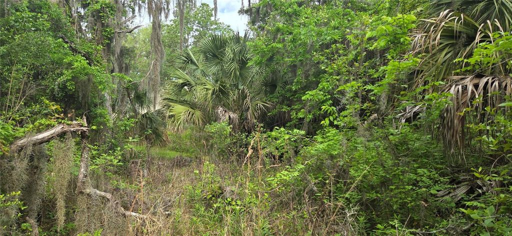 Photo of 2392 N Heritage Oaks Path, Hernando, FL 34442 (MLS # OM722452)