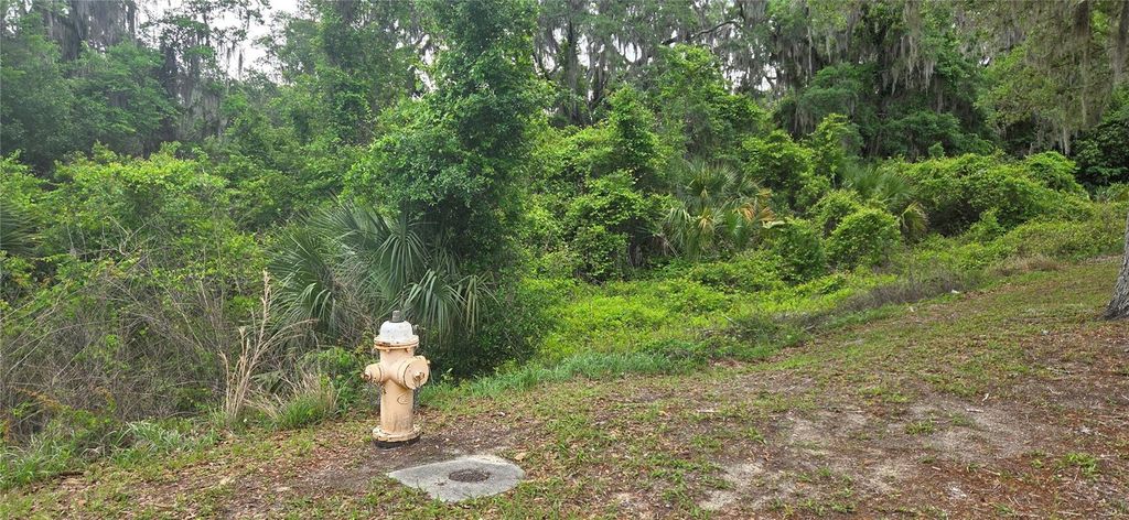 Photo of 2392 N Heritage Oaks Path, Hernando, FL 34442 (MLS # OM722452)