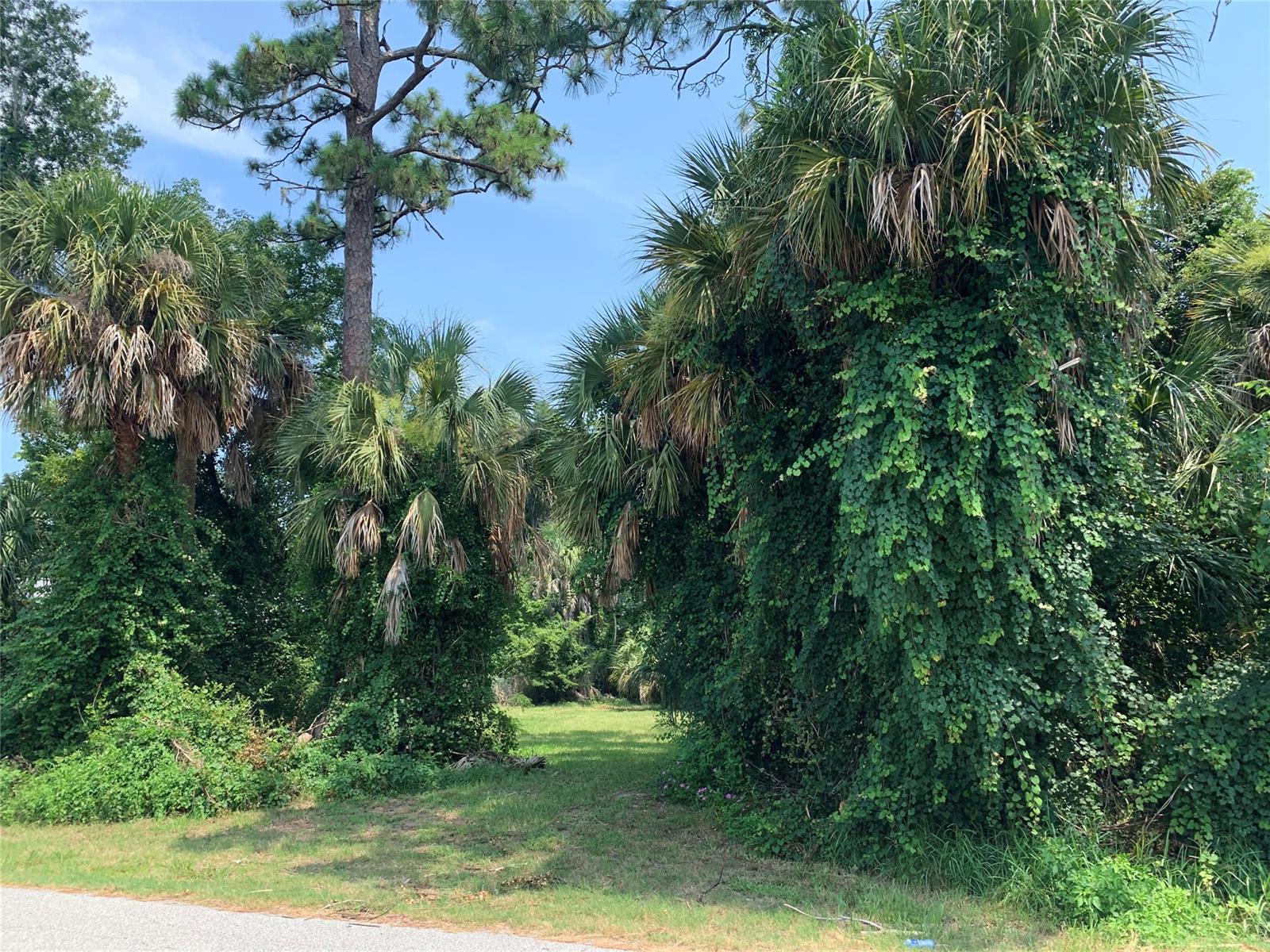 LOCATION LOCATION LOCATION. This cleared vacant lot is close to everything. Imagine being only a short walk from shopping, dinning, pharmacy, and more? Well look no further! Build your dream home only 800 feet from the Intracoastal waterway. Enjoy a stroll down riverside Drive or fishing off of the dock of Veterans Park less than 1000 feet from your home! Get your piece of Florida and live the dream before it becomes someone elses reality.