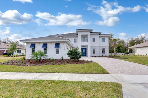 10013 BROCKSPORT CIRCLE GOTHA FL 34734