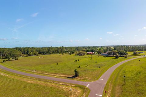 38529 WOODED MEADOW DRIVE UMATILLA FL 32784