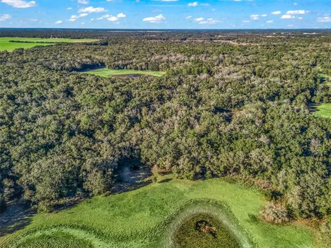 Tiny photo for 0 SE 165th Avenue, Williston, FL 32696 (MLS # OM718138)