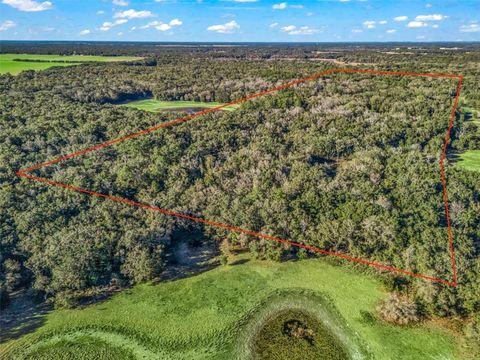 Tiny photo for 0 SE 165th Avenue, Williston, FL 32696 (MLS # OM718138)