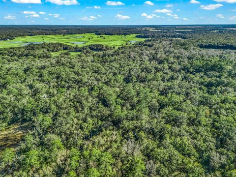 Tiny photo for 0 SE 165th Avenue, Williston, FL 32696 (MLS # OM718138)