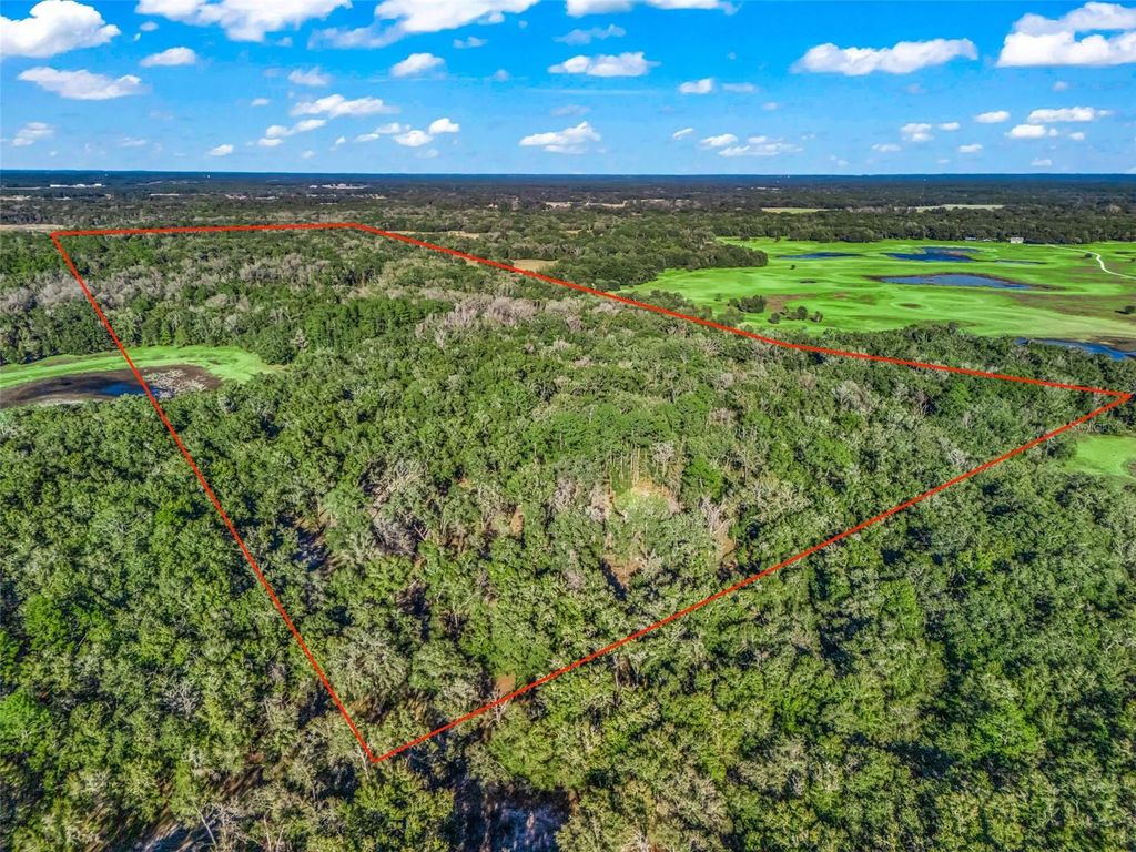 Photo of 0 SE 165th Avenue, Williston, FL 32696 (MLS # OM718138)