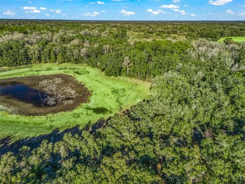 Tiny photo for 0 SE 165th Avenue, Williston, FL 32696 (MLS # OM718138)