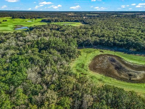 Tiny photo for 0 SE 165th Avenue, Williston, FL 32696 (MLS # OM718138)