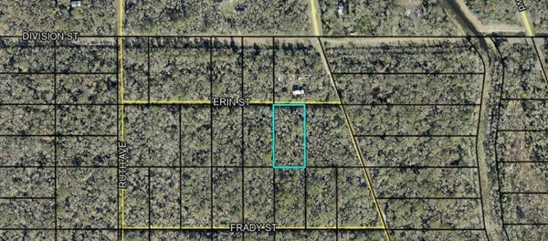 HASTINGS BLVD, HASTINGS, FL 32145 - Image f7abf680b1cc4f8a3aecbc4fedeba769/1606368370