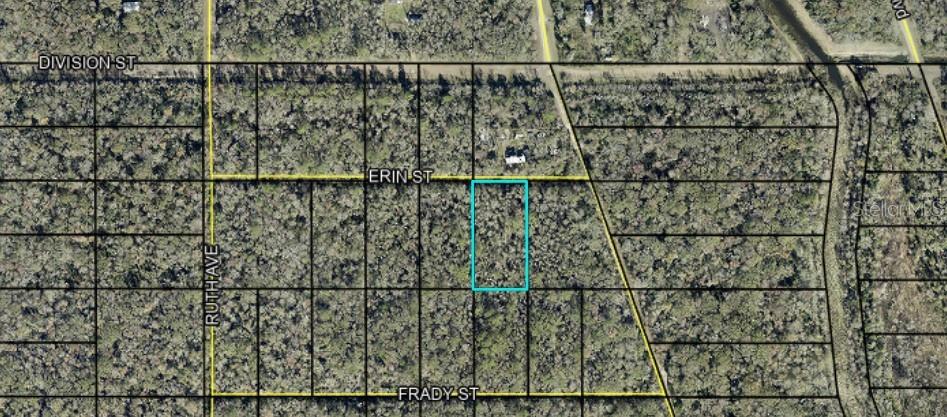 Photo of 159 Erin St, Hastings, FL 32145 (MLS # C7530663)