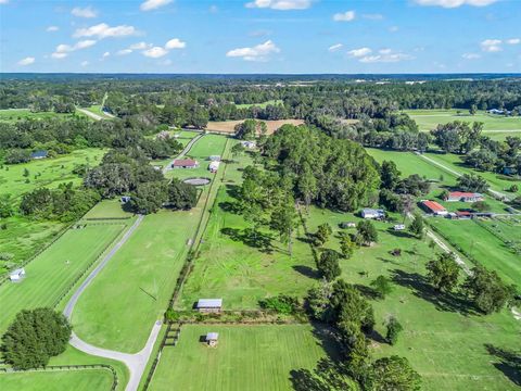 Tiny photo for 15636 N Highway 329, Reddick, FL 32686 (MLS # G5103778)