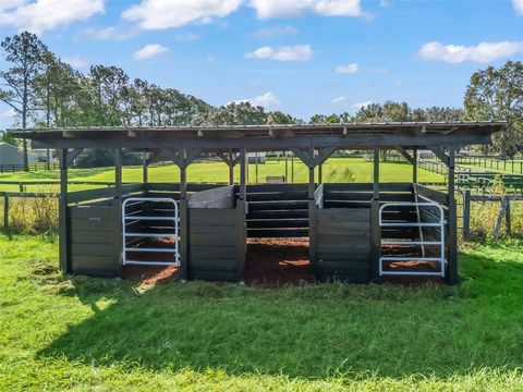 Tiny photo for 15636 N Highway 329, Reddick, FL 32686 (MLS # G5103778)