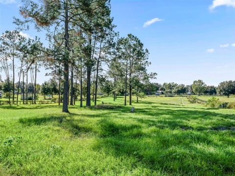 Tiny photo for 15636 N Highway 329, Reddick, FL 32686 (MLS # G5103778)
