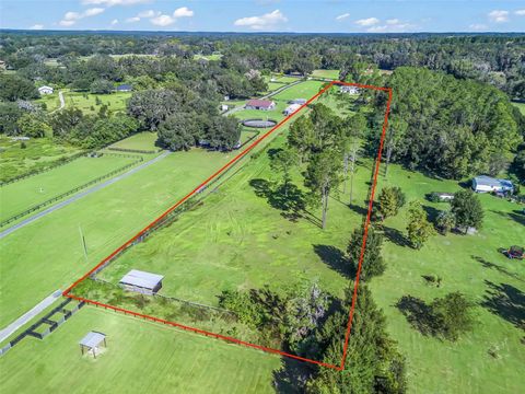 Tiny photo for 15636 N Highway 329, Reddick, FL 32686 (MLS # G5103778)