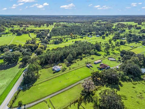 Tiny photo for 15636 N Highway 329, Reddick, FL 32686 (MLS # G5103778)