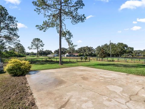 Tiny photo for 15636 N Highway 329, Reddick, FL 32686 (MLS # G5103778)