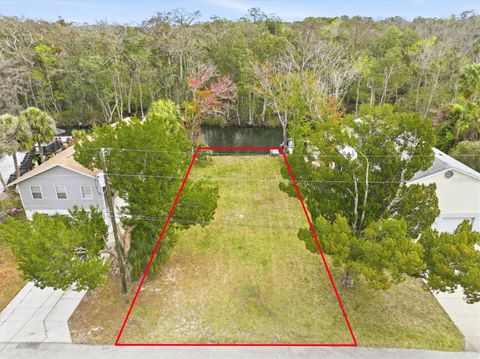 Photo of 7304 Sunfish Circle, Weeki Wachee, FL 34607 (MLS # W7883448)