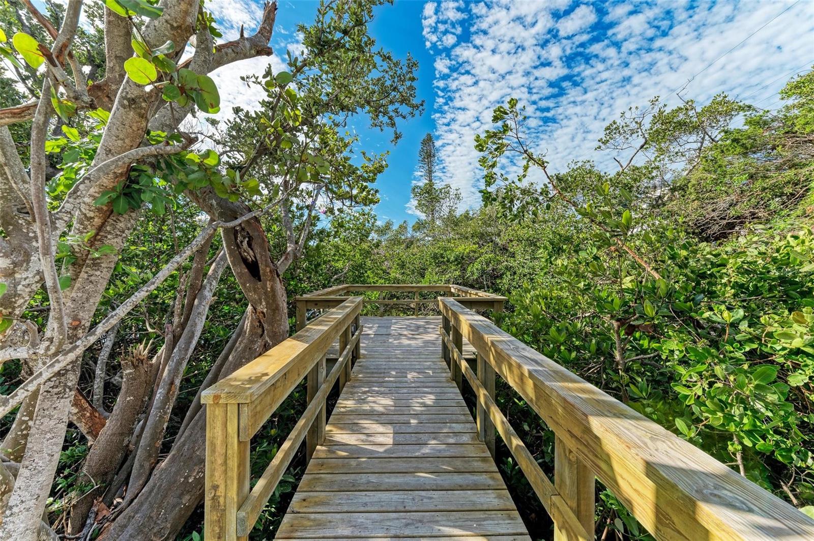 ISLAND CEDARS - Residential