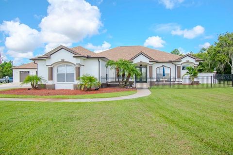 A home in LAND O LAKES