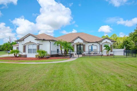 A home in LAND O LAKES