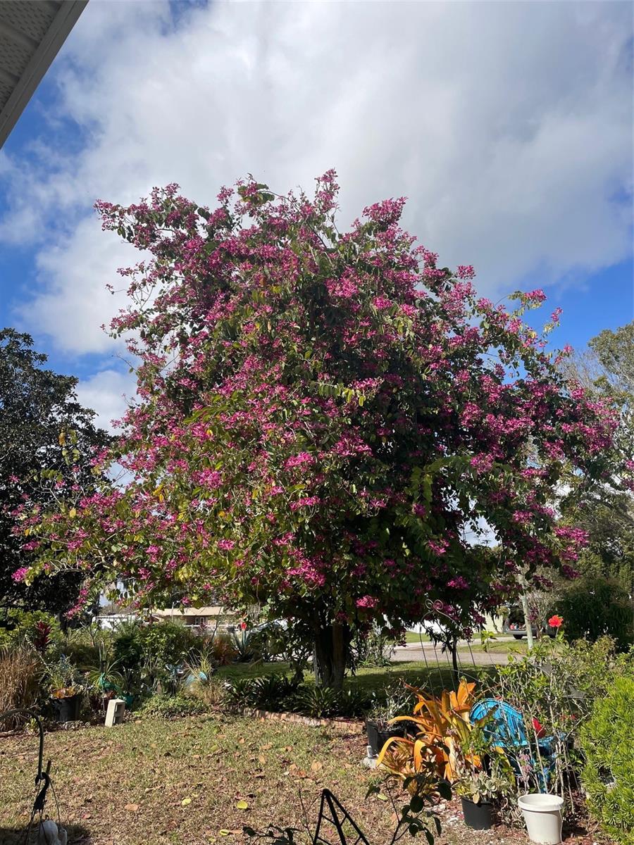 ECHO HEIGHTS - Residential