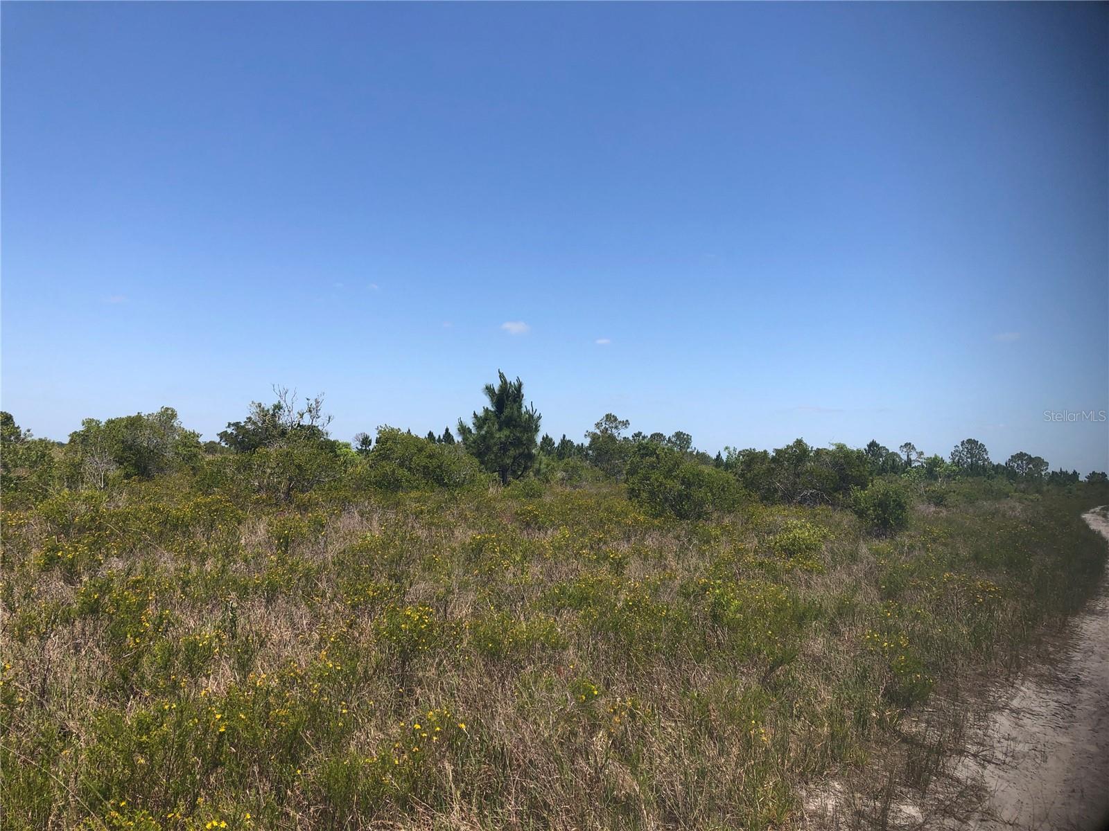 2.5 Acres of Prime Florida Land – Limited Release Inventory from 1.25 to 17.5 Acres Available
This rare 2.5-acre lot in the peaceful Bermont Ranch Estates in Punta Gorda offers an incredible opportunity to own substantial acreage in one of Florida’s fastest-growing regions. Priced competitively and perfect for long-term investment, recreation, or future plans.
What makes this even more exciting — we’re offering a limited release of multiple parcels ranging from 1.25 to 17.5 acres. Buy one or bundle several to create your own private compound or land portfolio.
This area offers total privacy, wide-open skies, and room to breathe, yet is only 30 minutes from the amenities of downtown Punta Gorda. Zoned AG, no HOA, and high potential for appreciation as growth continues to expand eastward.
Opportunities like this don’t last — inquire today before the limited inventory is gone.
Buy 1 or Buy them all!
Want tax deferred growth on your land investments? Ask us how to grow your real estate portfolio with a IRA/401k Rollover IRA for land.