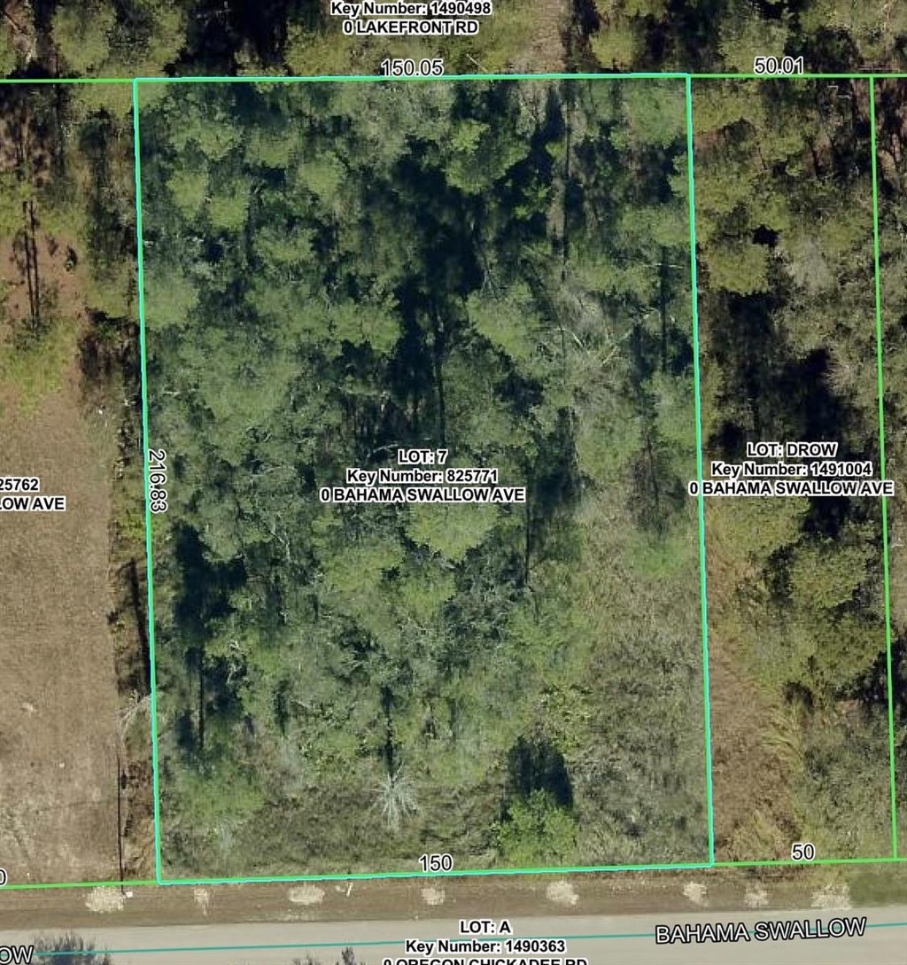 Photo of 7277 Bahama Swallow Avenue, Weeki Wachee, FL 34613 (MLS # W7888945)
