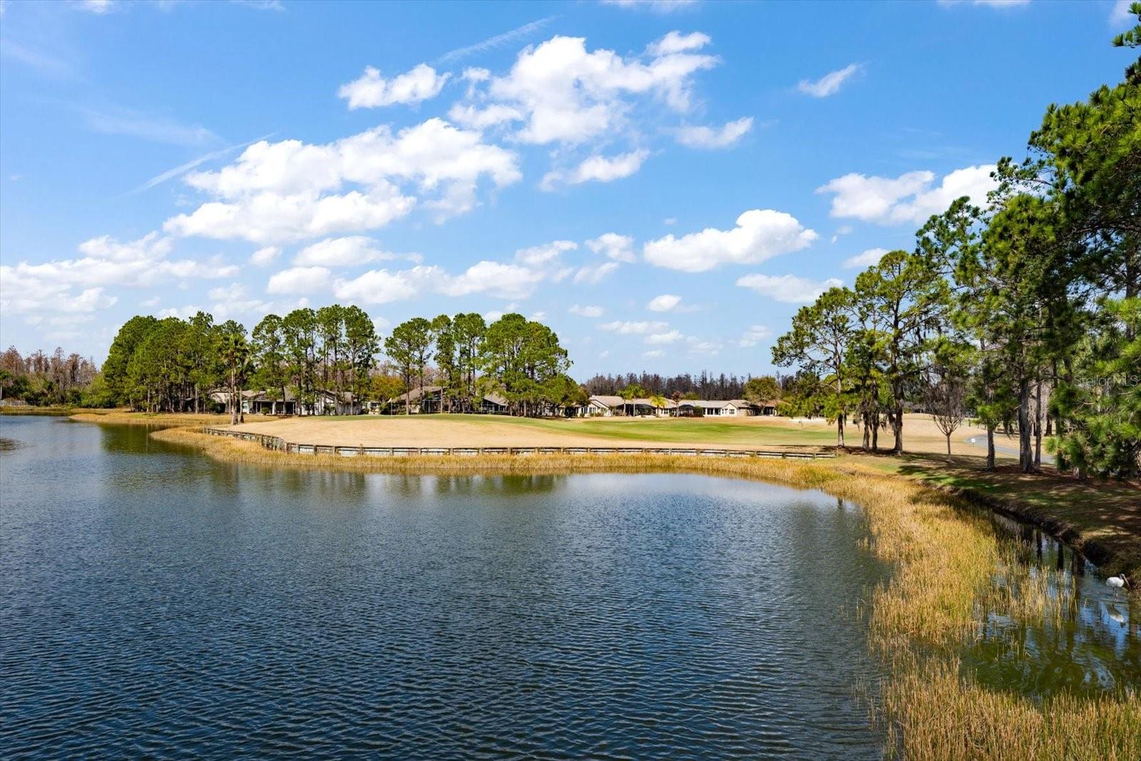 HERITAGE SPGS VILLAGE 06 - Residential