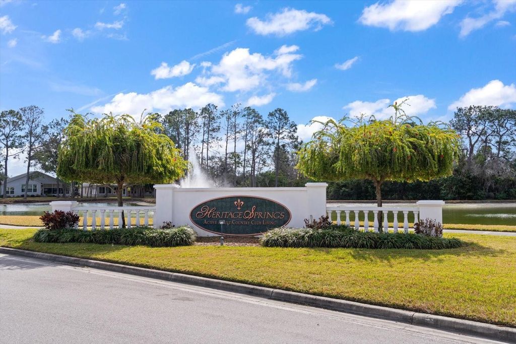 Photo of 1237 Rambling Vine Court, Trinity, FL 34655 (MLS # TB8466679)