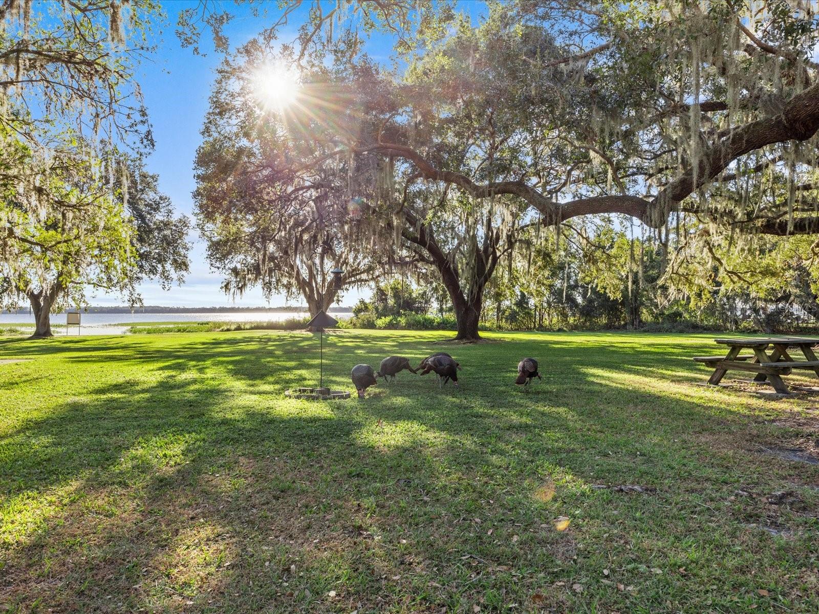 ACREAGE & UNREC - Residential