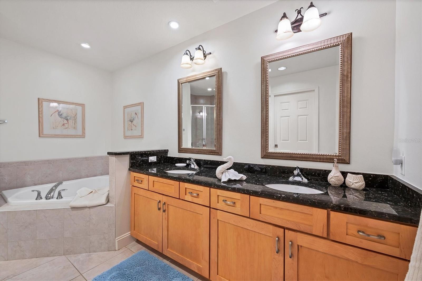 LAKE VISTA RESIDENCES PH III - Residential