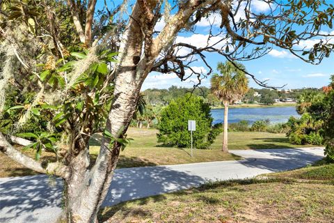 A home in EUSTIS