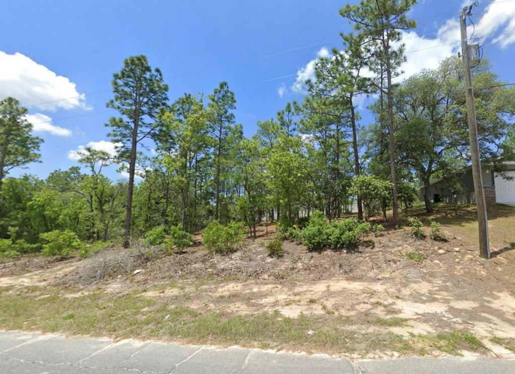 Photo of 3065 W Sharpes Drive, Citrus Springs, FL 34433 (MLS # OM715159)