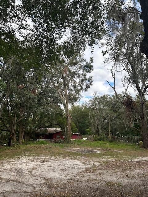 A home in MOUNT DORA