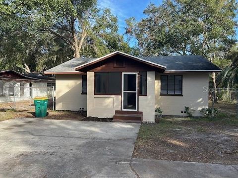 A home in MOUNT DORA