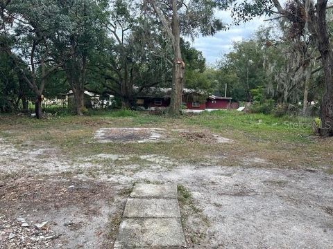 A home in MOUNT DORA