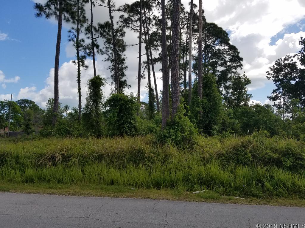 Florida Shores 01 - Land