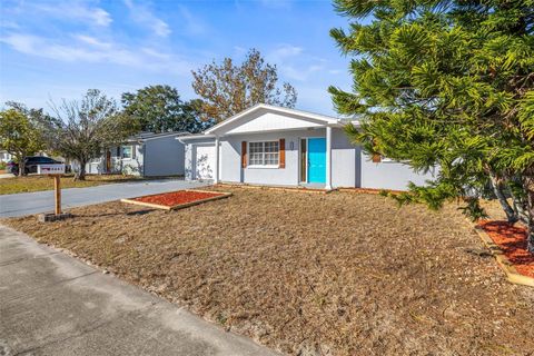 A home in PORT RICHEY