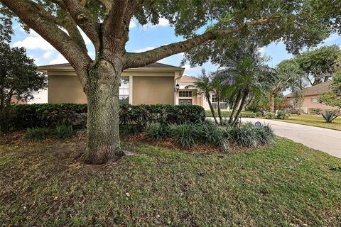 A home in MOUNT DORA