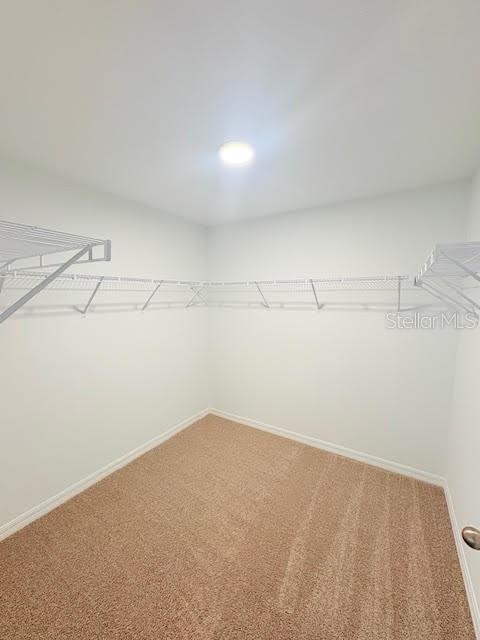 PALM COAST SEC 35 - Residential