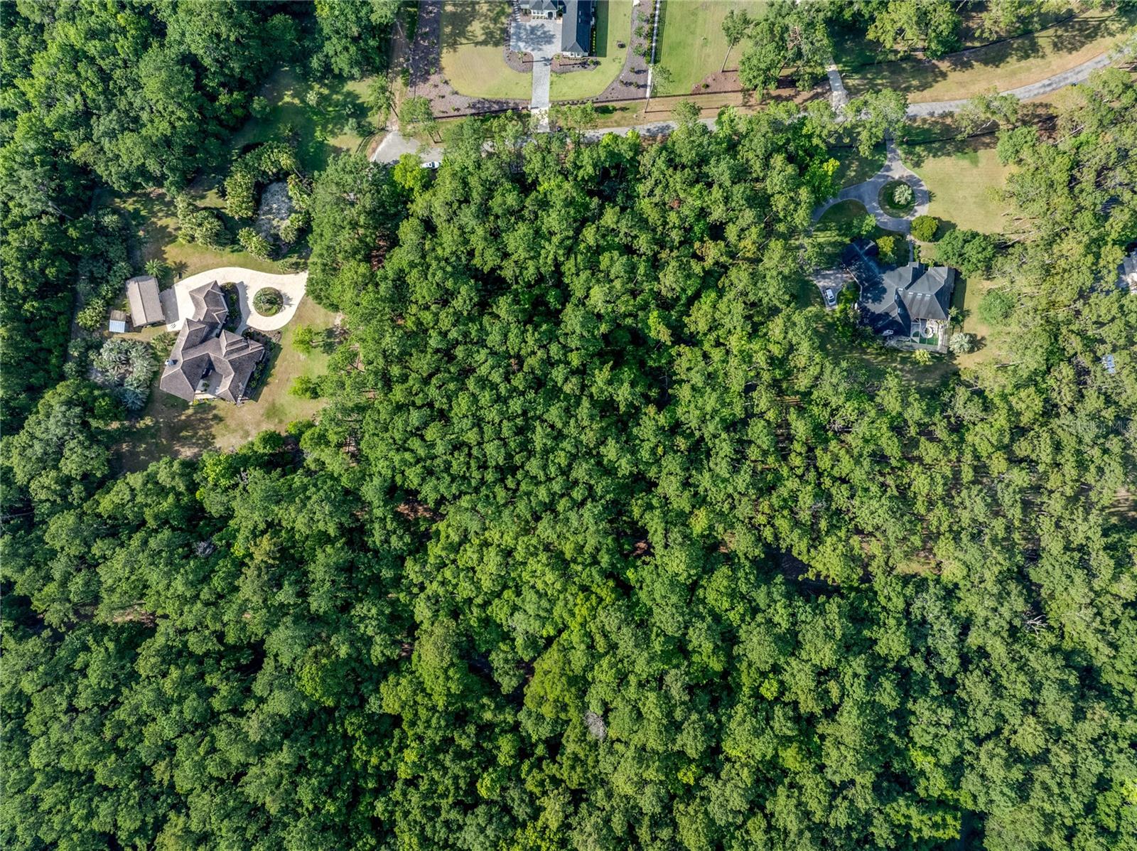 FOXBORO AT WYNGATE - Land