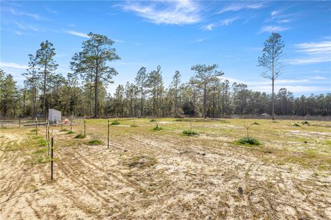Tiny photo for 14440 SE 21st Place, Morriston, FL 32668 (MLS # OM719815)